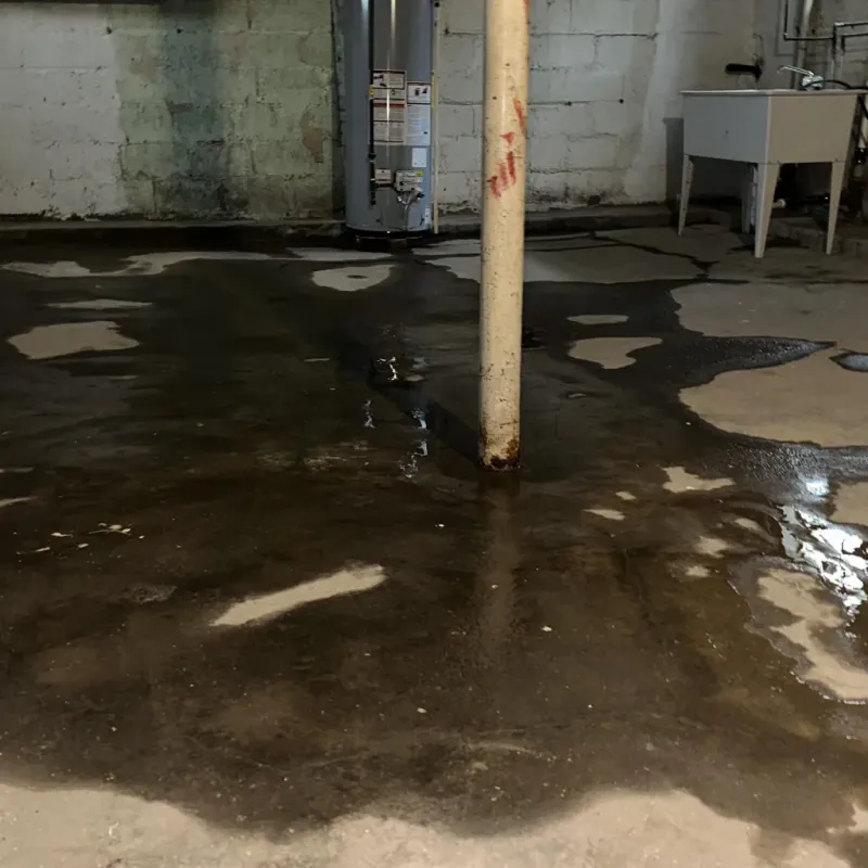 Emergency Water Extraction And Removal in Terrell County, TX